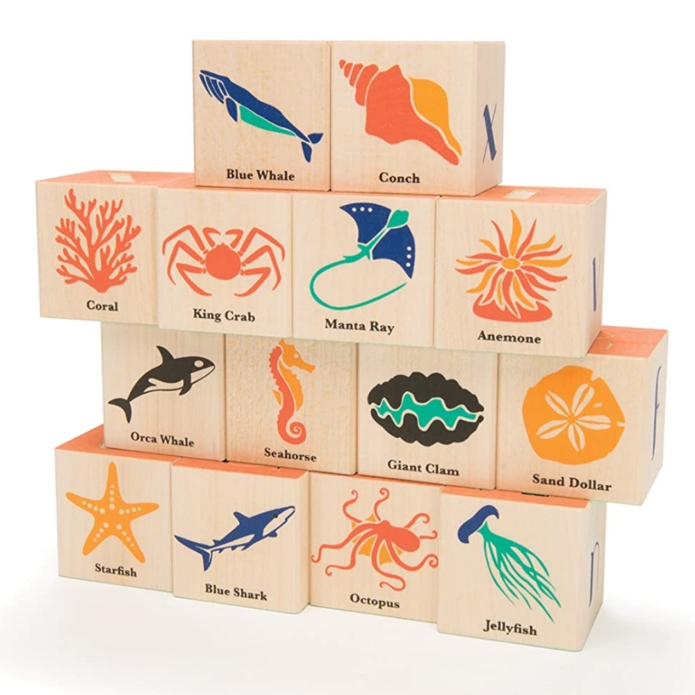 Uncle goose ocean blocks